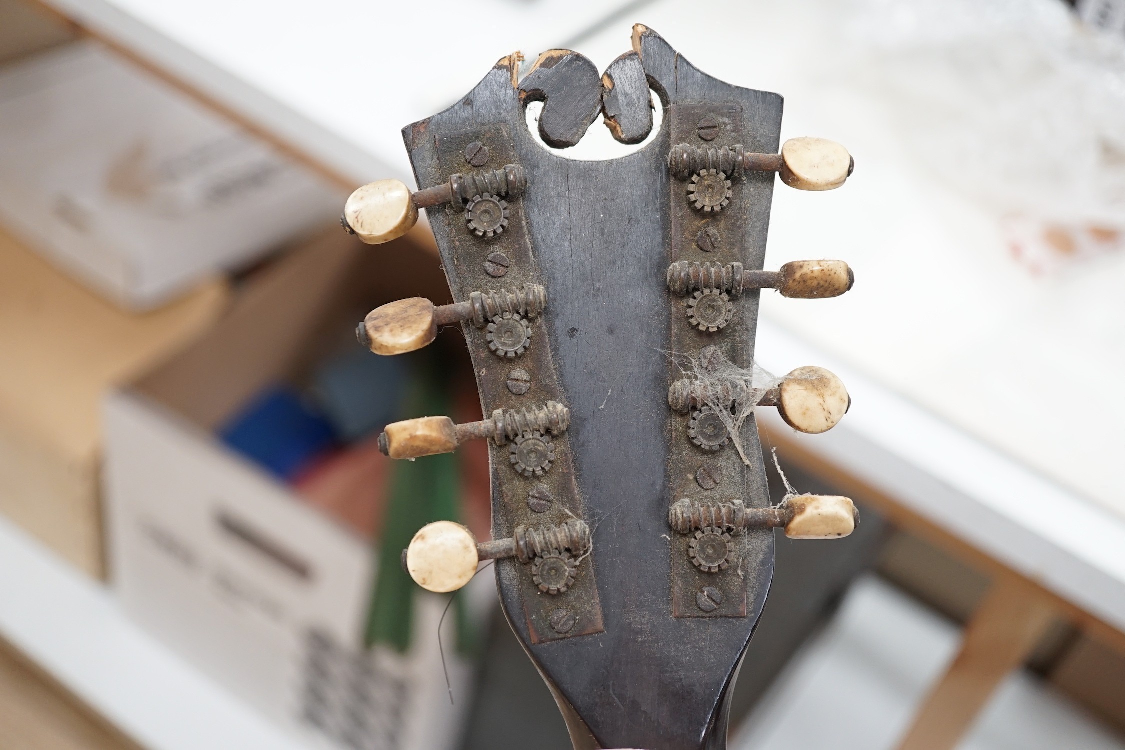 An Italian balloon back mandolin with tortoiseshell overlay, circa 1900, label for Pietro Tonelli of Napoli together with a violin, interior hand label reads ‘A.J. Newland London SW12 1939’ length of violin back excludin